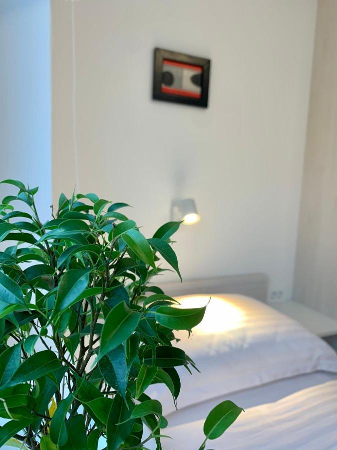 Apartment Zen Sveta Nedjelja  外观 照片